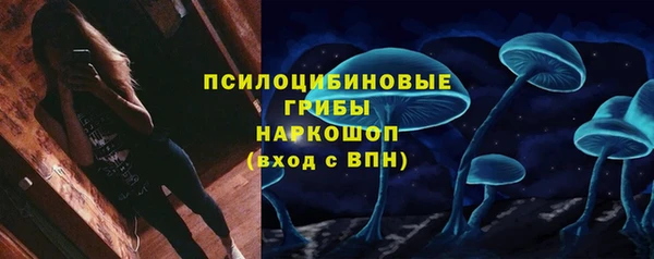 Альфа ПВП Карталы