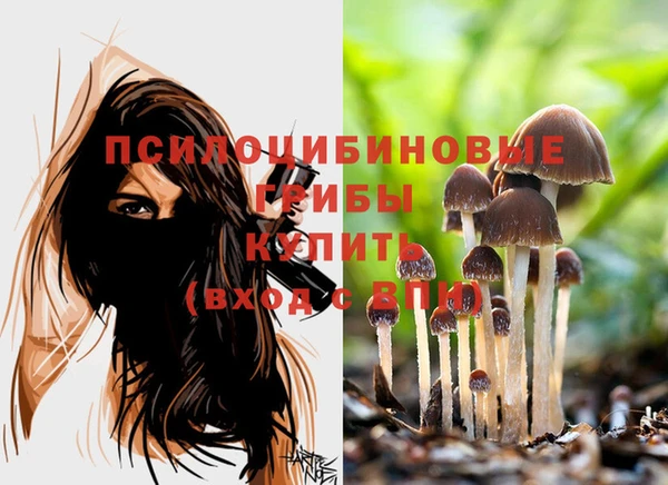 бутират Карпинск