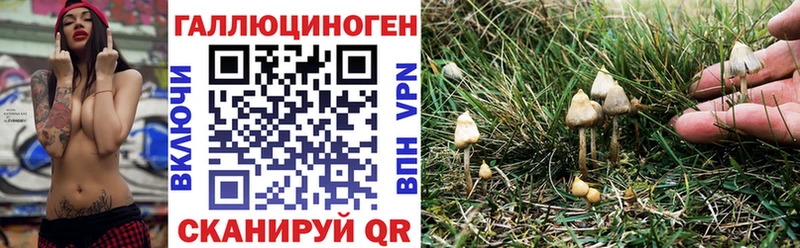 Галлюциногенные грибы MAGIC MUSHROOMS  Купить  Игарка 